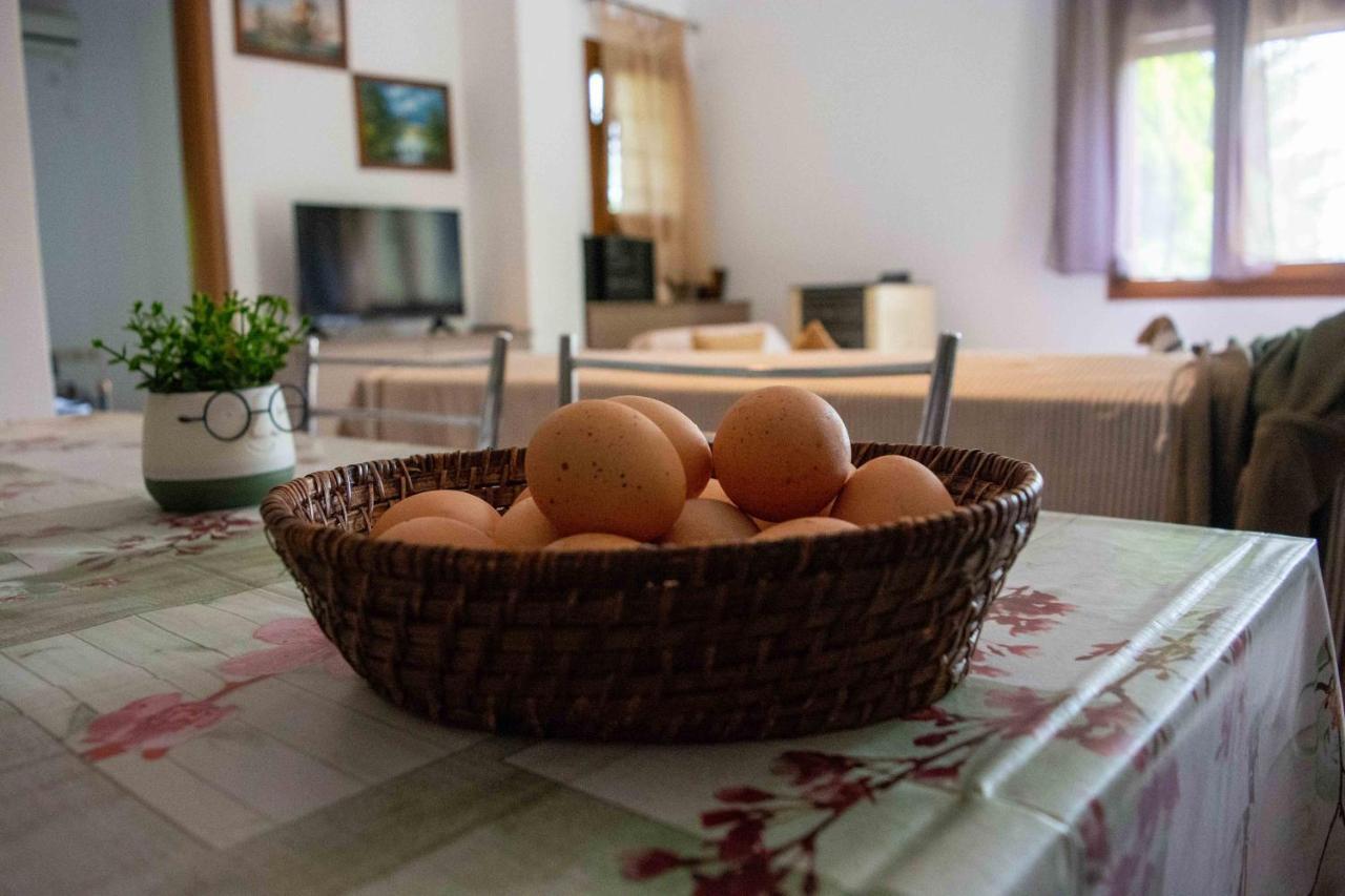 Efi'S Guest House Agios Dimitrios  Exterior photo