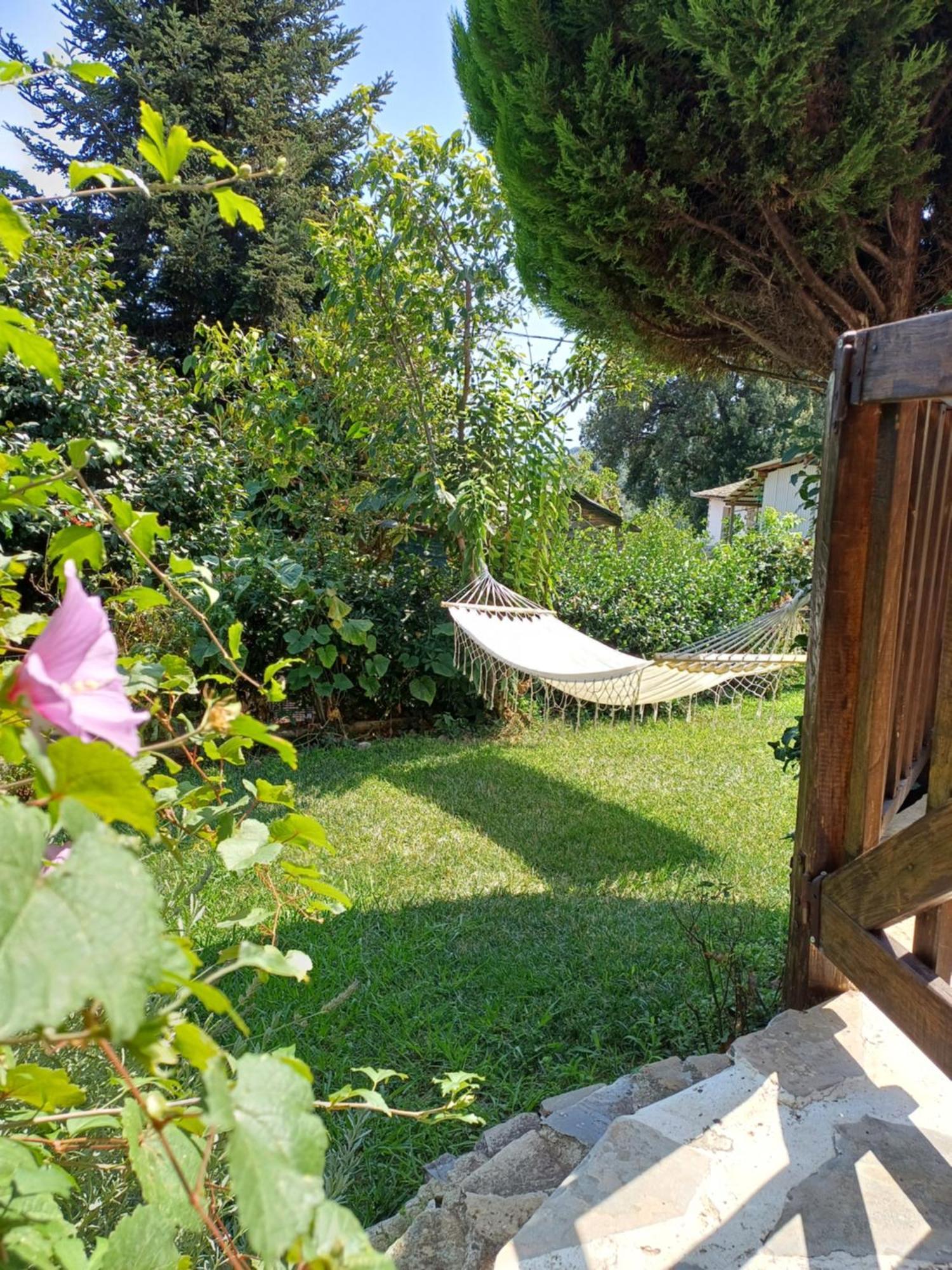 Efi'S Guest House Agios Dimitrios  Exterior photo