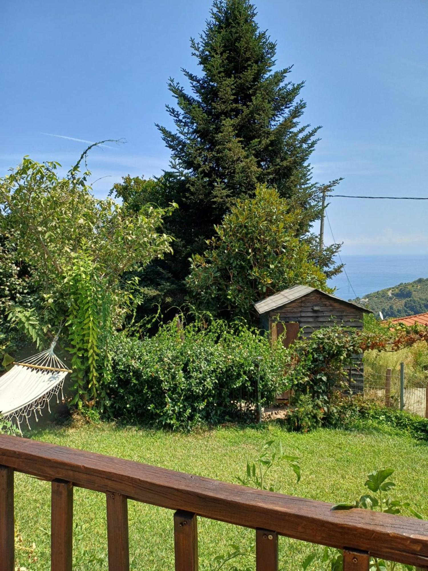 Efi'S Guest House Agios Dimitrios  Exterior photo